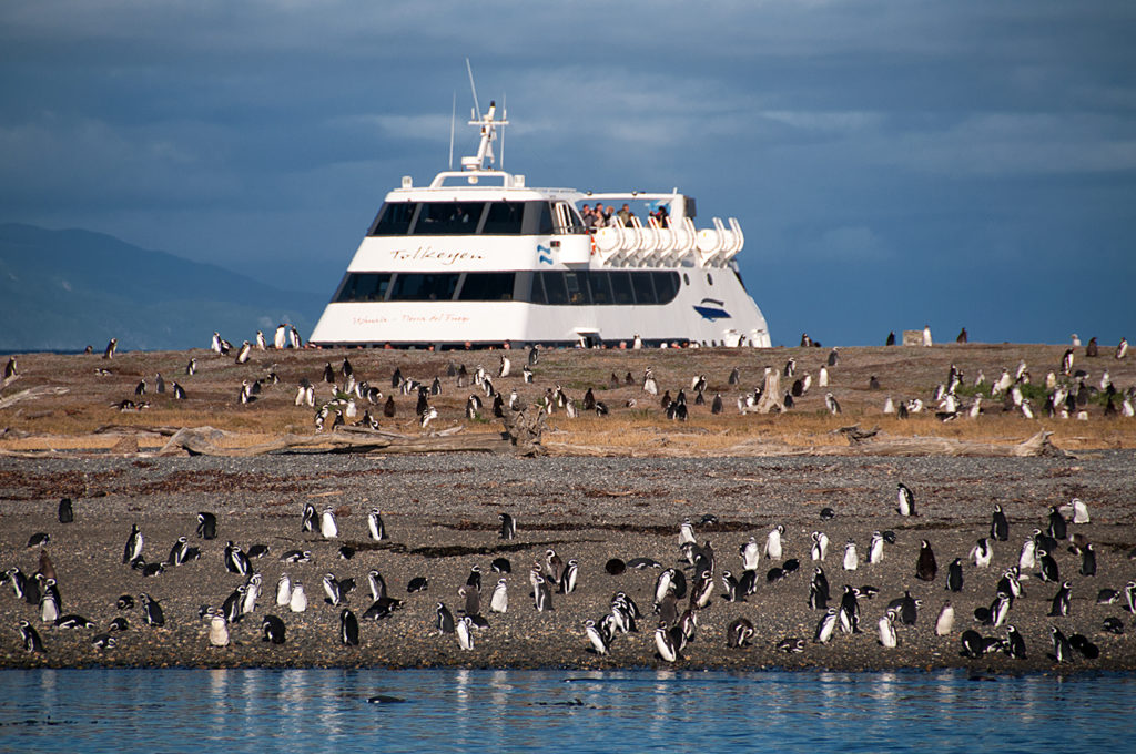Rejs po Kanale Beagle'a, wyspa pingwów